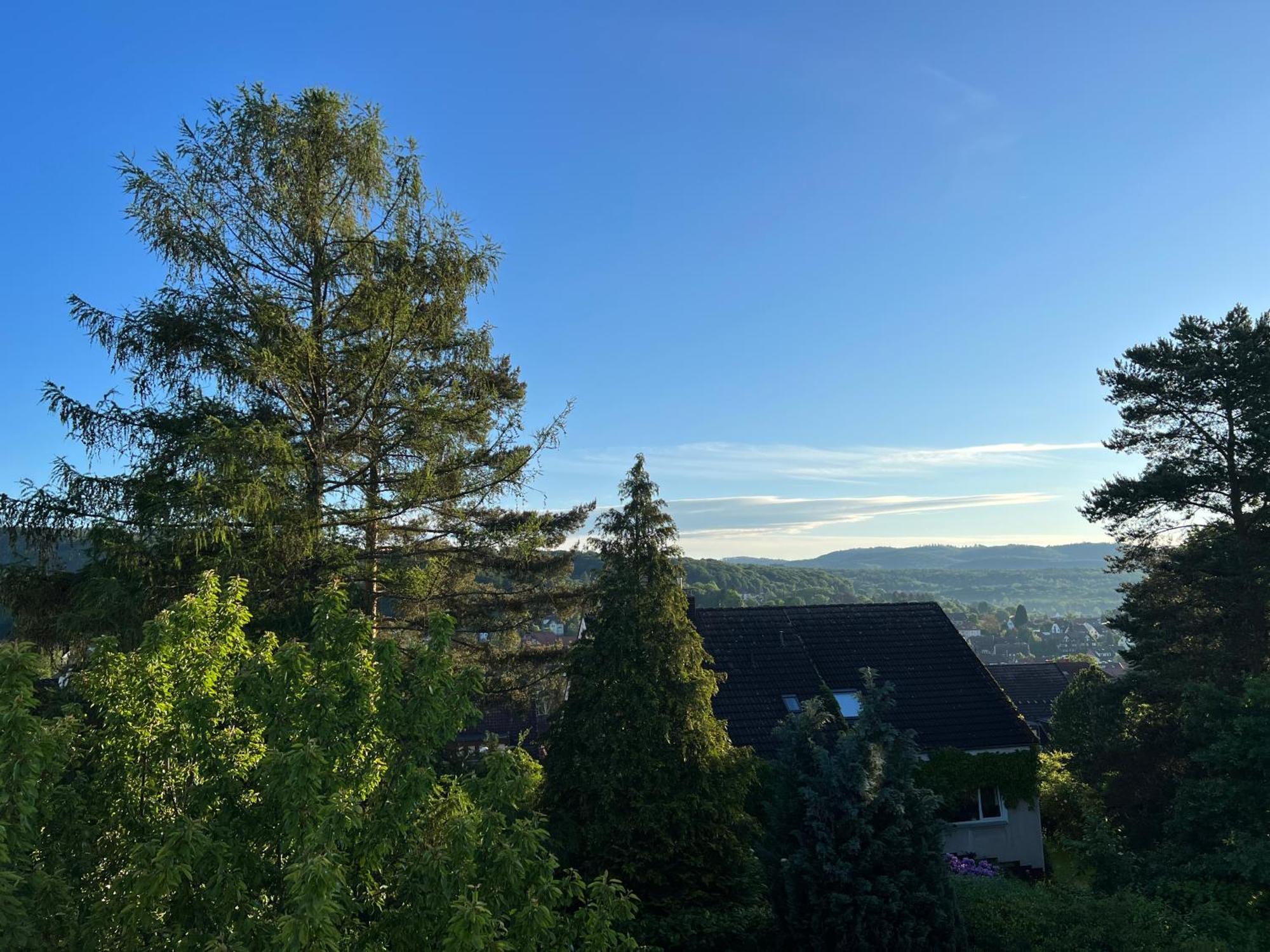 Ferienwohnung Nannerl Bad Sachsa Exterior foto